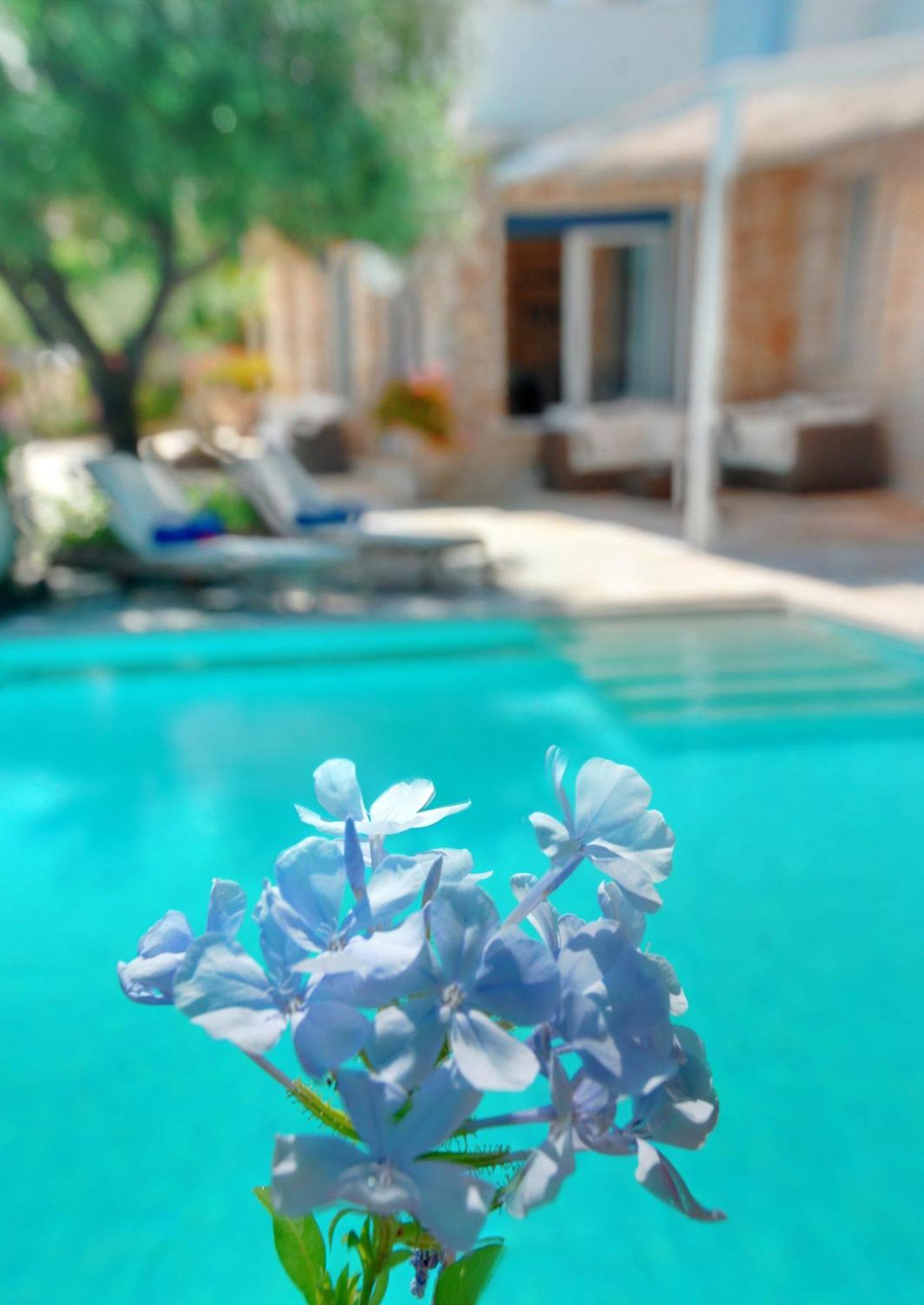 Corfu Luxury Villas Барбаті Номер фото